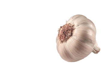 Close up of garlic isolated on white 