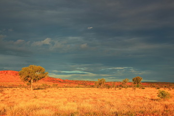 Obraz premium Australian rugged Outback