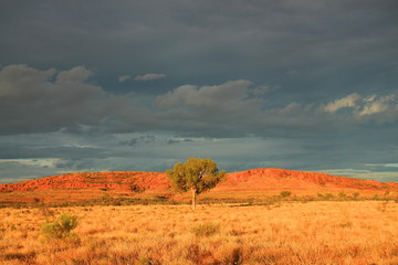 Australian rugged Outback