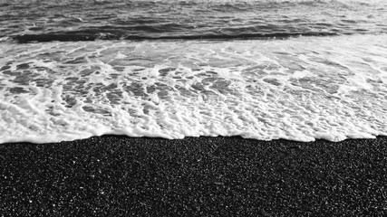 Liguria, Italy - 03/14/2019: Beautiful photography of the natural parks, near the seaside and in the village in winter with some first spring flowersand black and white background.