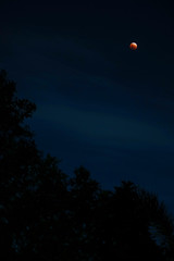 Bloodmoon