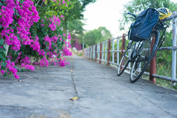 Fototapeta na wymiar bike under paper flower tree