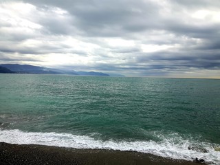 Liguria, Italy - 03/14/2019: Beautiful photography of the natural parks, near the seaside and in the village in winter with some first spring flowersand black and white background.