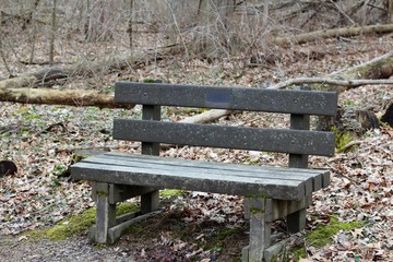 A close view of the old wood park bench in the forest.