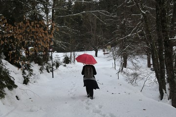 Woman in red coat and with umbrella between trees in  forest at winter season
