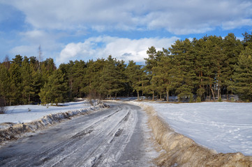 Landscape with a countryside road in early spring, Russia. Much snow at the side of the road and pine forest in the background. Bright sunny day. View from right side