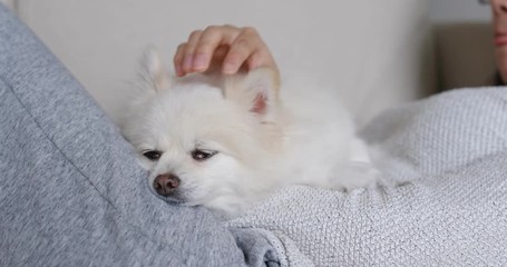 Woman cuddle her dog at home