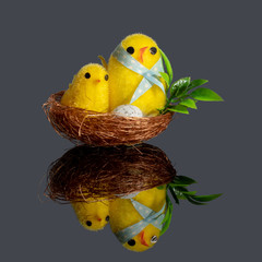 Osterküken im Nest mit einem Ei auf spiegelnder Fläche