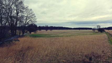 Obraz premium Blick auf Wiesenlandschaft