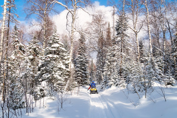 Obraz premium Athlete on a snowmobile.