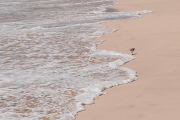 calm waves on the beach 