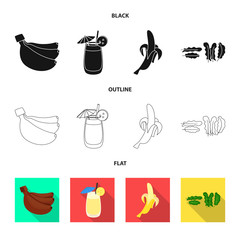Vector illustration of natural and vegetarian symbol. Set of natural and eating stock symbol for web.
