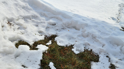  thawed patch