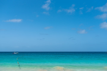 Fototapeta na wymiar waves & beach on Sal island, cape verde