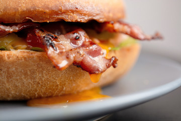 Tasty sandwich with caramelized bacon and runny yolk