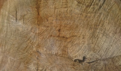 wood texture background
