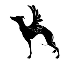 Vector icon, Greyhound. Dog breed Greyhound with wings. Elegant silhouette of Greyhound.