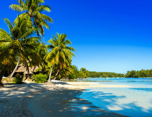 View of the sandy beach, Moorea island, French Polynesia. Copy space for text.