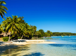 Fototapeta na wymiar View of the sandy beach, Moorea island, French Polynesia. Copy space for text.
