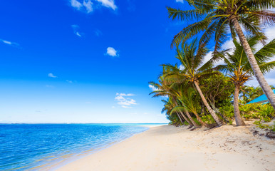 Fototapeta premium View of the sandy beach, Cook Islands, South Pacific. Copy space for text.