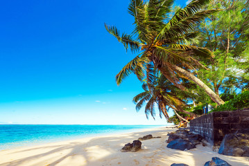 View of the sandy beach, Cook Islands, South Pacific. Copy space for text.