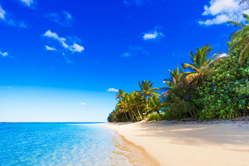View of the sandy beach, Cook Islands, South Pacific. Copy space for text.