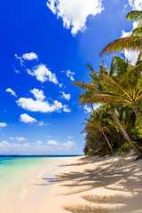View of the sandy beach, Cook Islands, South Pacific. Copy space for text. Vertical.