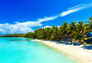 Fototapeta premium Stunning tropical Aitutaki island with palm trees, white sand, turquoise ocean water and blue sky at Cook Islands, South Pacific. Copy space for text.