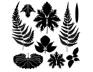  set of black silhouettes of leaves.