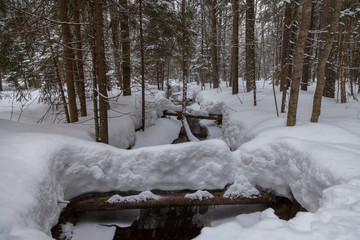 Stream in the snow-covered forest in early spring