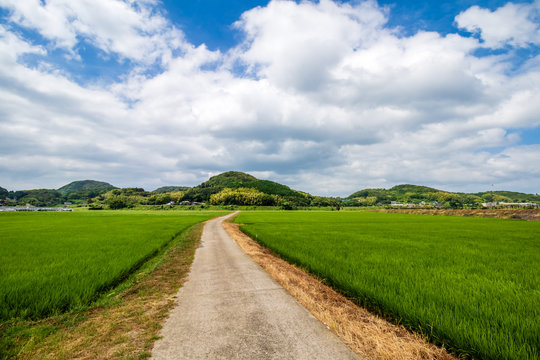 アメリカの田舎道 の画像 152 件の Stock 写真 ベクターおよびビデオ Adobe Stock