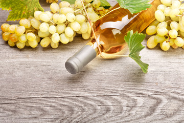 Bottle of white wine and fresh grapes