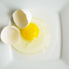 broken chicken egg on a plate