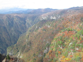 紅葉の大台ケ原
