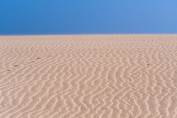 Fototapeta na wymiar desert scene at Sal - Cape Verde