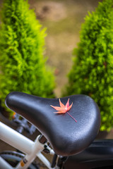 紅葉と自転車のサドル　秋イメージ