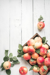 Red apples in wooden box
