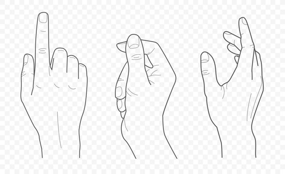 handdrown vector outline and contour illustration of hands with fingers in different gestures with open palms