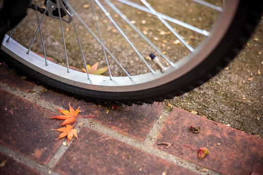紅葉と自転車　秋イメージ