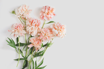 beautiful bouquet of peonies on a white background. space for text. flat lay