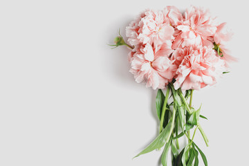 bouquet of fresh peonies on a white background. flat lay, space for a text