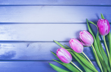 Obraz na płótnie Canvas A bouquet of pink tulips with a frame for inscription.