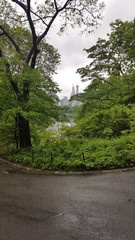 Fototapeta na wymiar central park view scenic lake new york