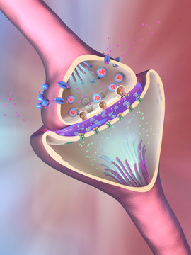 3d illustration of the scientific function of a synapse or neuronal connection with a nerve cell