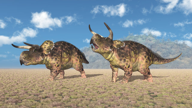 Dinosaurier Nasutoceratops in einer Landschaft