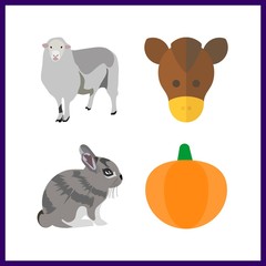 4 farm icon. Vector illustration farm set. rabbit and pumpkin icons for farm works