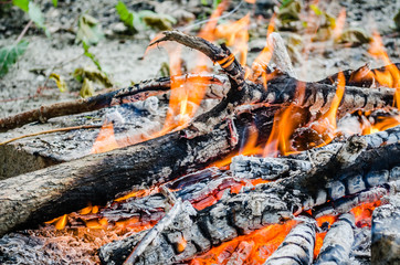 The burning flame campfire