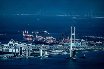 Fototapeta premium 横浜ランドマークタワーから見える街並み