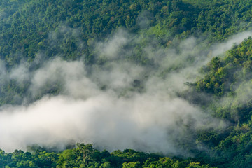 Fototapeta na wymiar Beautiful mountain landscape in the Phu Chi fa National Park in Chiang Rai Province, Thailand.