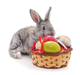 Rabbit and Easter basket.
